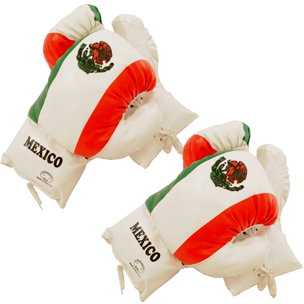 Mexico Flag 16 Oz Boxing Gloves 2 Pairs Vinyl Leather Gloves Practice Training