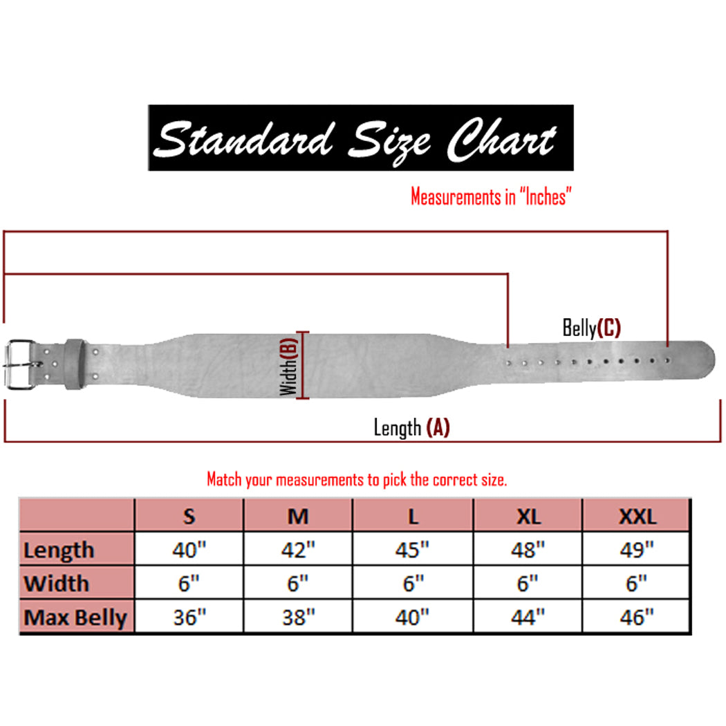 Last Punch 6" New Leather Weight Lifting Belt Padded Power Good Quality all Sizes