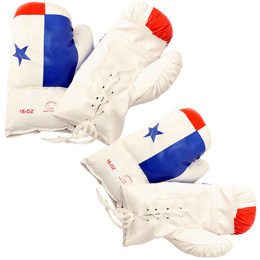 Panama Flag 16 Oz Boxing Gloves Two Pairs Vinyl Leather Gloves Practice Training