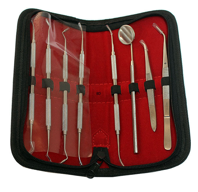 8 Pc PK Thomas Plus Dental Instruments Set  Premium Stainless Steel Kit