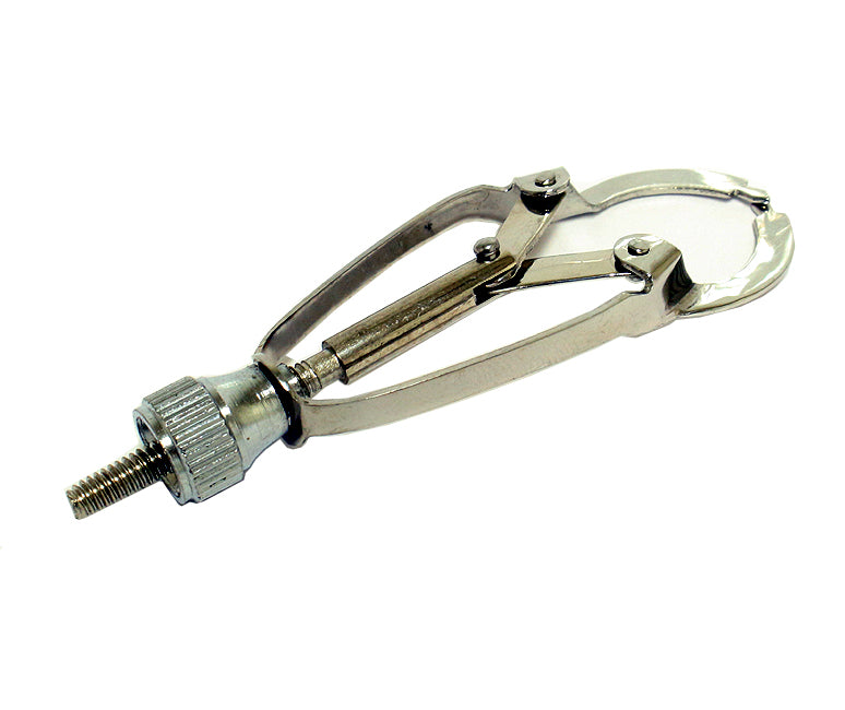Ivory Matrix Retainer Tool Stainless Steel Dental Restorative Instrument