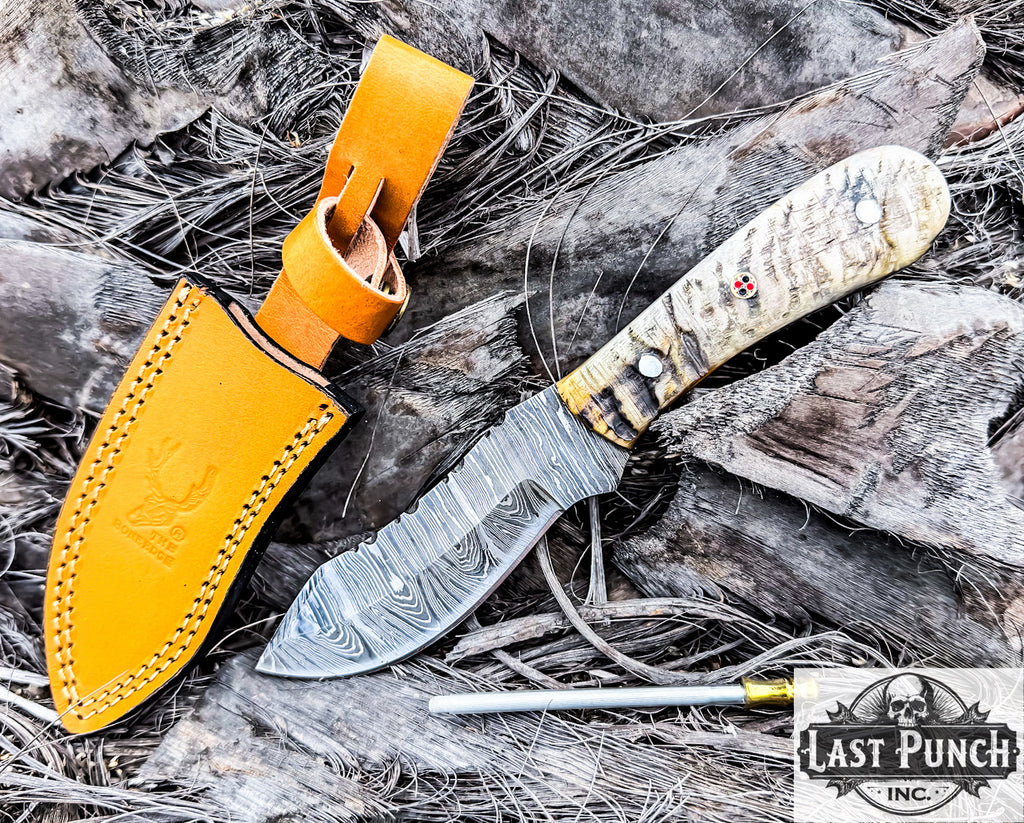 TheBoneEdge 9" Ram Handle Damascus Blade Skinner Knife with Leather Sheath
