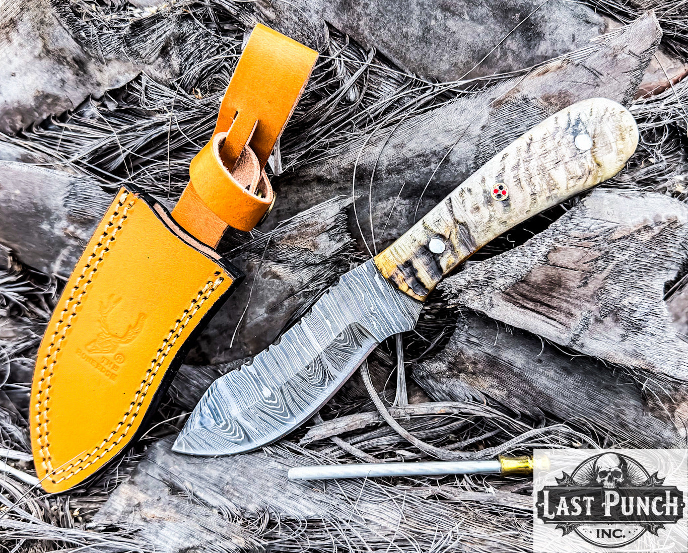 TheBoneEdge 9" Ram Handle Damascus Blade Skinner Knife with Leather Sheath