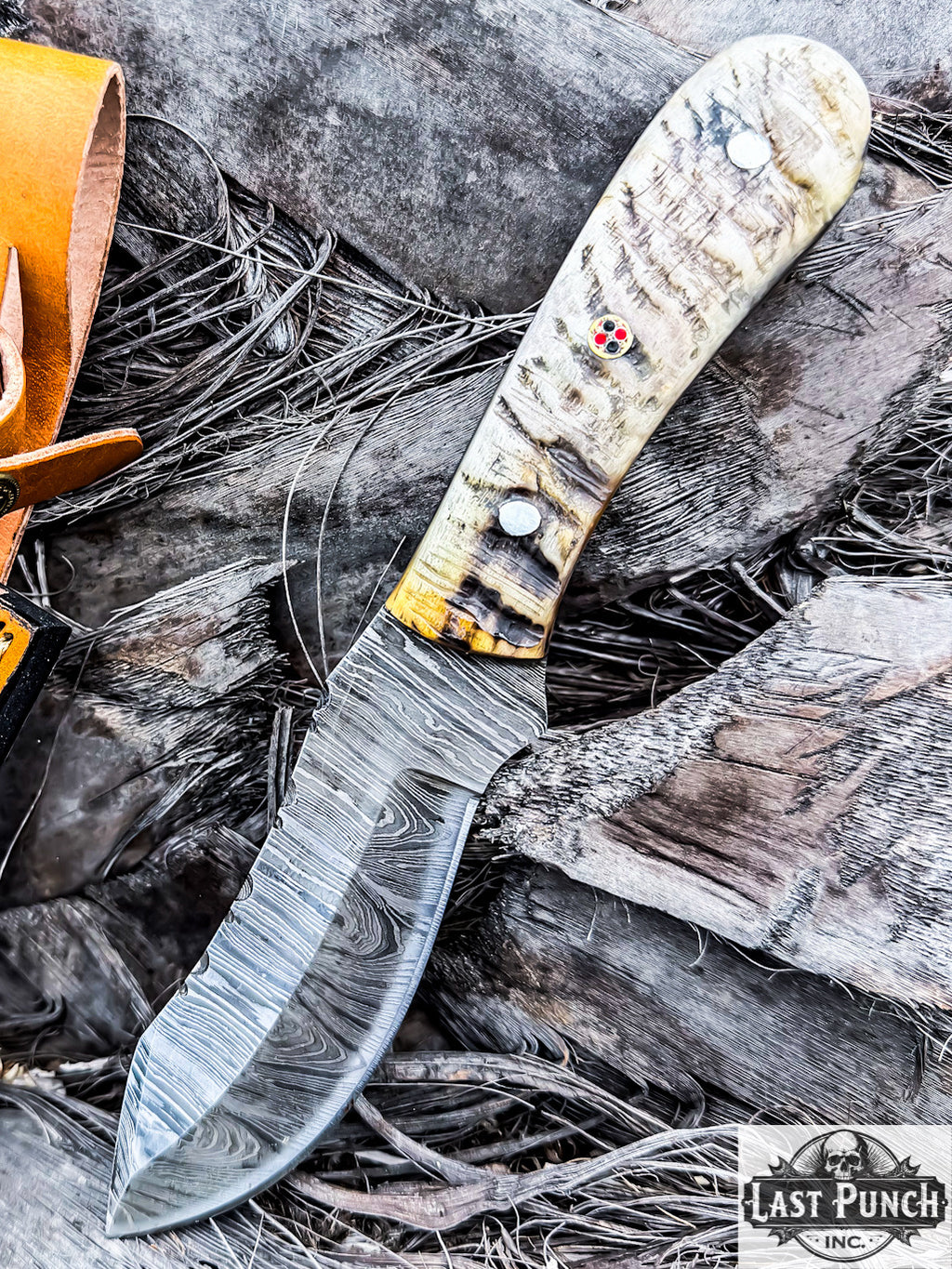 TheBoneEdge 9" Ram Handle Damascus Blade Skinner Knife with Leather Sheath
