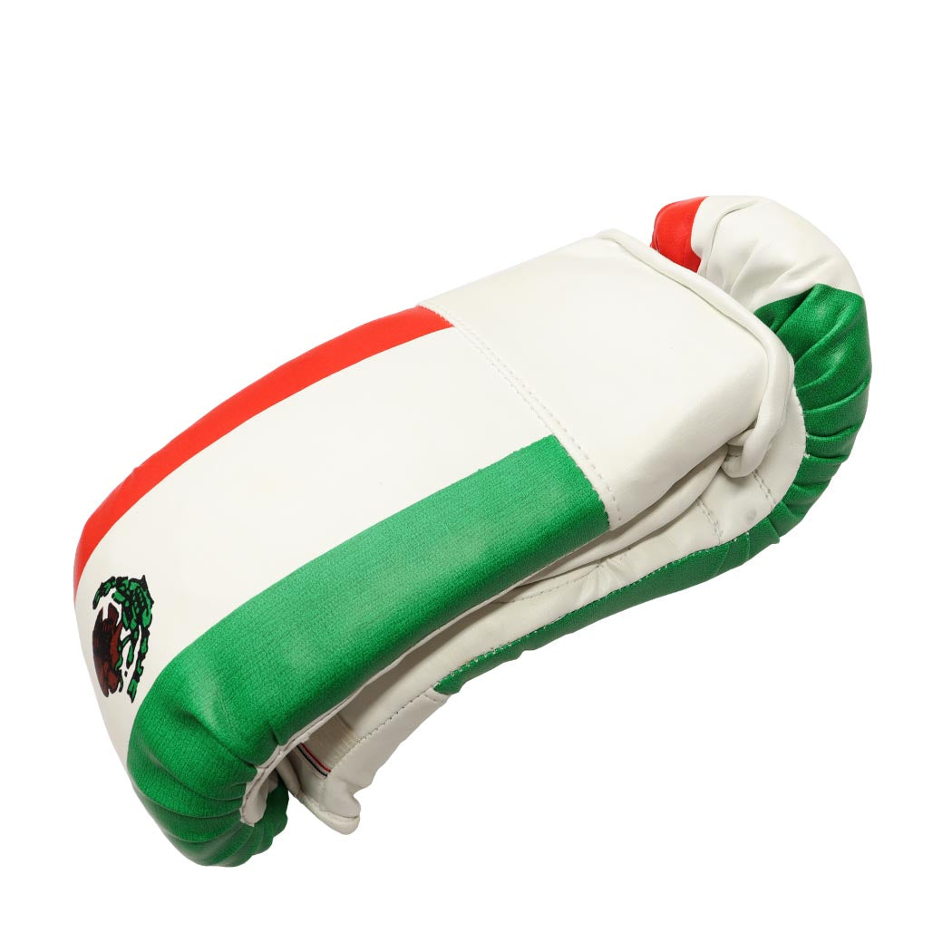 Last Punch Maxico Flag Style Training Punching Boxing Gloves
