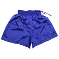 Last Punch Blue Color Satin MMA Kick boxing shorts