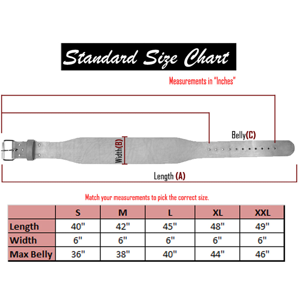 Last Punch 6" New Leather Weight Lifting Belt Padded Power Good Quality all Sizes