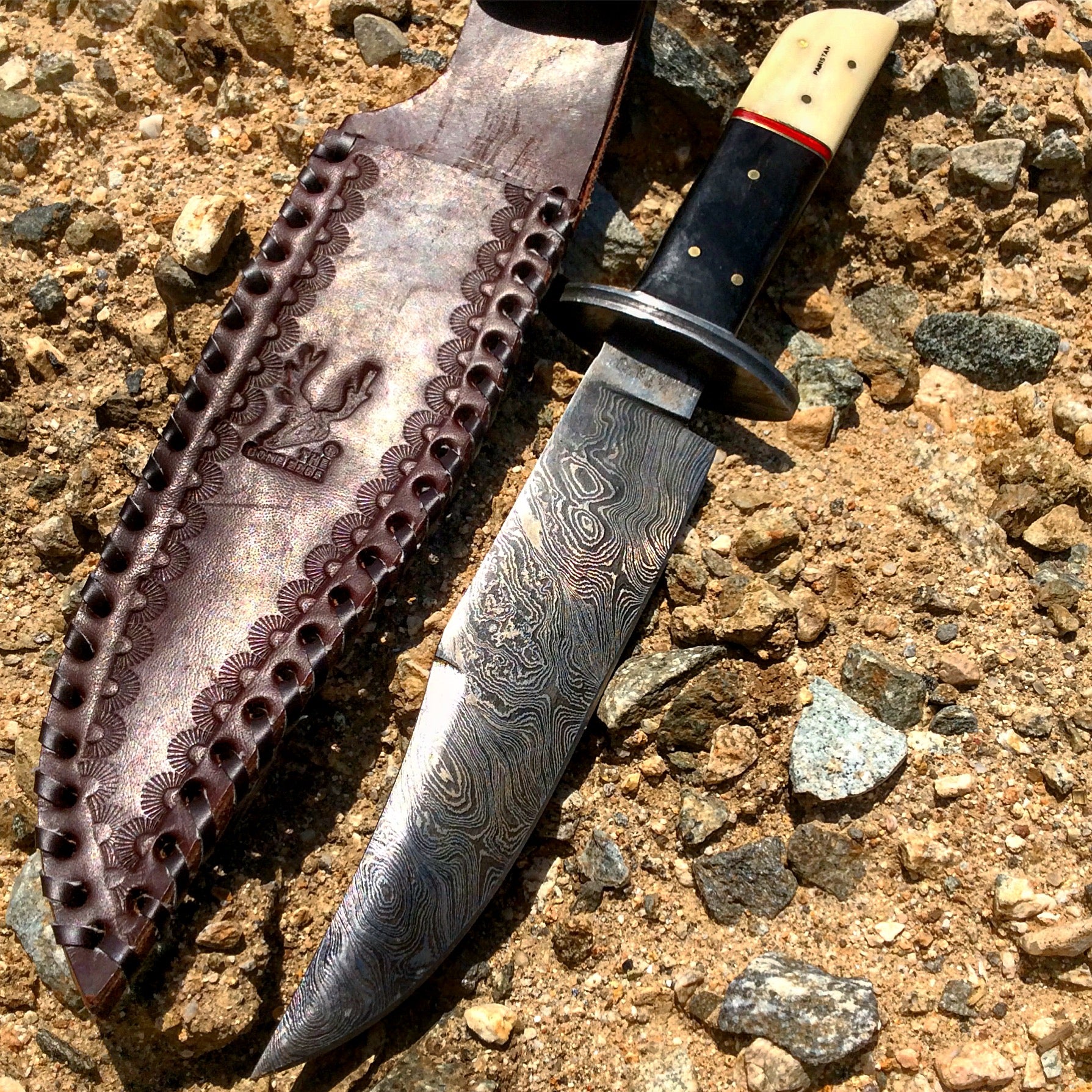 TheBoneEdge 12.5" Damascus Steel Stag Horn Handle Hunting Knife Hand Made