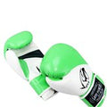 12oz Adult Size Last Punch White and Green Viper Boxing Gloves