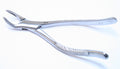 151 Dental Extracting Forceps American Pattern Tooth Extraction Tool