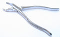 53R Dental Extracting Forceps American Pattern Tooth Extraction Tool