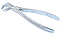 73 Dental Extracting Forceps English Pattern Tooth Extraction Tool